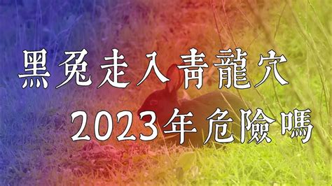 青龍穴|民间流传今明两年是：“黑兔走入青龙穴”，此话有什么预示？